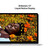 IMG-19297055_m_jpeg_1.jpeg IMG-19297055_m_jpeg_1.jpeg