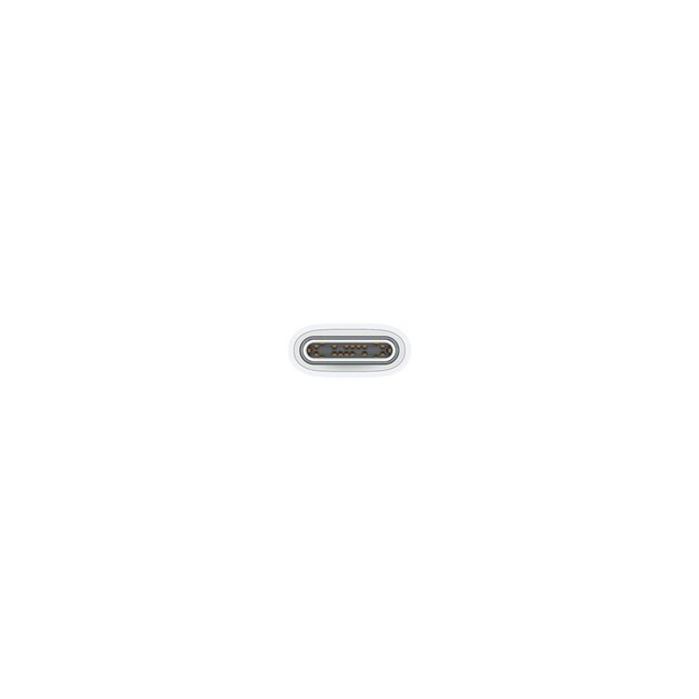 IMG-7783485_m_jpg_0.jpg IMG-7783485_m_jpg_0.jpg