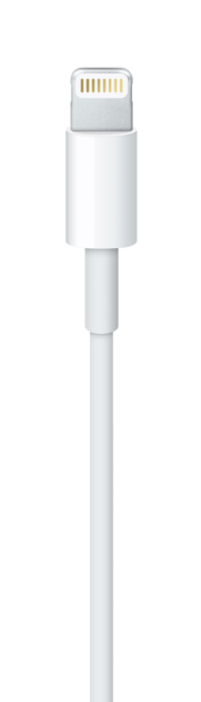 IMG-5650284_m_png_0.png