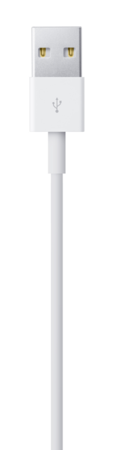 IMG-5650286_m_png_0.png