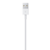 IMG-5650286_m_png_0.png
