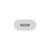 IMG-10758774_m_png_0.png