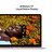 IMG-19297015_m_jpeg_1.jpeg IMG-19297015_m_jpeg_1.jpeg