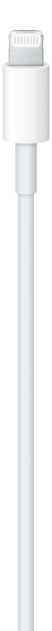 IMG-673976_m_png_0.png IMG-673976_m_png_0.png
